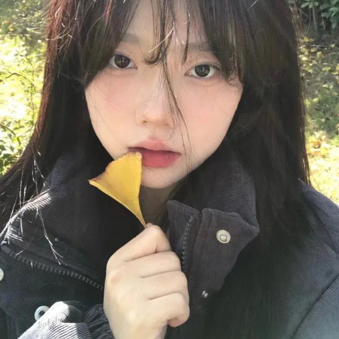 飞马俏姑娘
